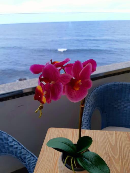 Ocean Orchidea Lejlighed Puerto de la Cruz  Eksteriør billede